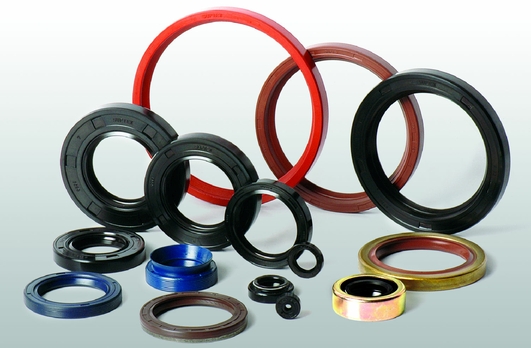 Oil Seal Chennai