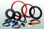 Oil Seal Chennai